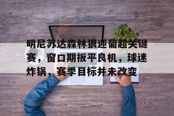 明尼苏达森林狼迎葡超关键赛，窗口期扳平良机，球迷炸锅，赛季目标并未改变的简单介绍-九游体育